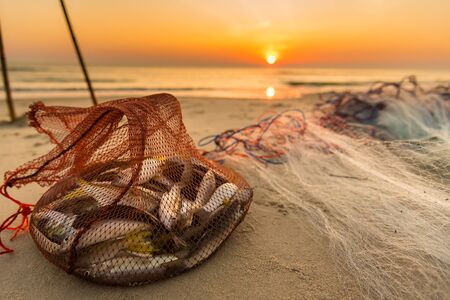 Sea fish in a net bag on the beach in the morning sunsire timeの写真素材