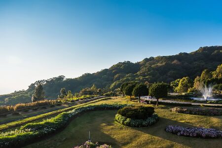 Flower Garden on Doi Inthanon, the highest peak in Thailand, Chiang Mai, Thailandの写真素材
