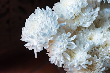 Flowers in the flower market in the morningの写真素材