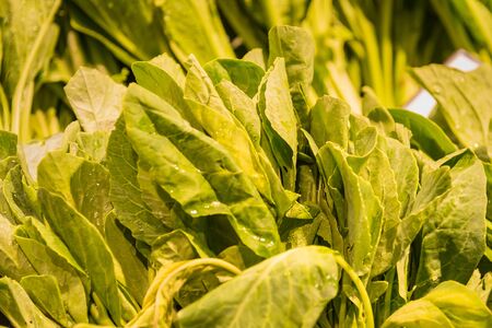 Green leave vegetables in asian fresh food local market.
