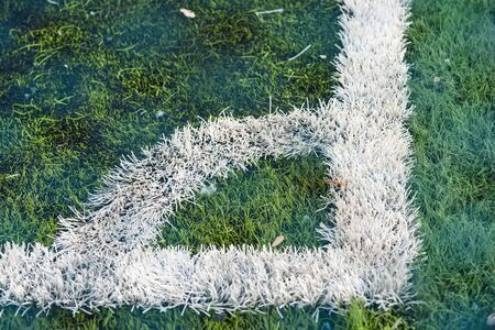 white line of corner on green artificial grass football soccer Futsal field court