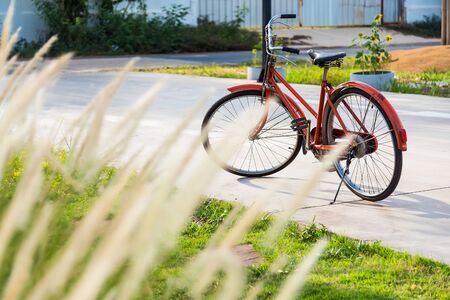 bicycle red classic vintage in beautiful outdoor parkl with copy space for add text