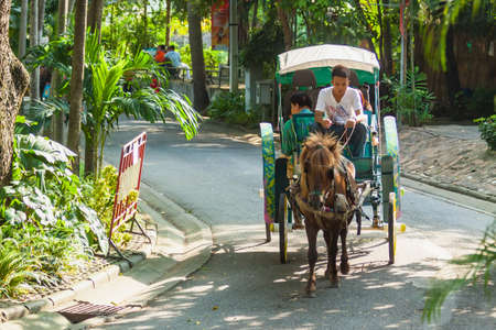 Bangkok, Thailand - September, 26, 2010 : Unidentified name Passenger Horse drawn carriage in Dusit Zoo at Bangkok, Thailandのeditorial素材