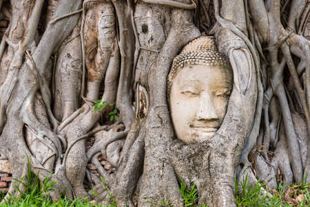 Ayutthaya, Thailand - June, 22, 2020 : Buddha Head in Tree Roots in Wat Mahathat, Ayutthaya, Thailand.Phra Nakhon Sri Ayutthaya is the Unesco world heritage.のeditorial素材