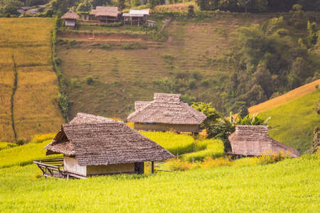 Panorama Aerial View of Pa Bong Piang terraced rice fields, Mae Chaem, Chiang Mai Thailand.の写真素材