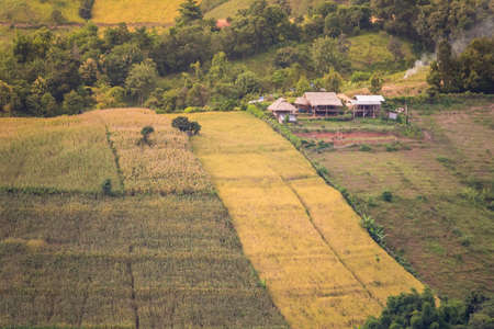 Panorama Aerial View of Pa Bong Piang terraced rice fields, Mae Chaem, Chiang Mai Thailand.
