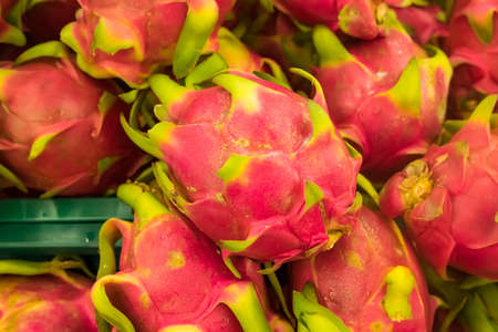 Dragon fruit on market stand, Thailandの写真素材