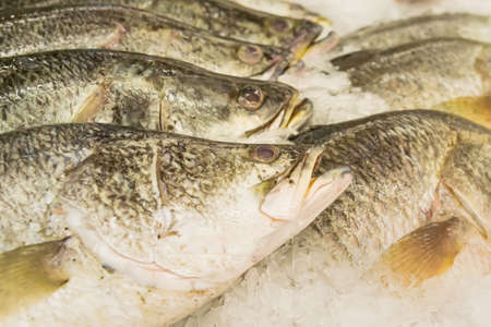 Raw Fish on Ice at the Market