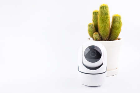 Wireless ip camera surveillance / CCTV security camera and Cactus in white celamic pots isolated on white backgroundの写真素材