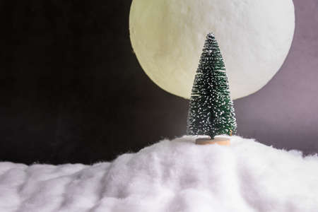Christmas pine trees on a snowy slope under full moon night. Christmas conceptの写真素材