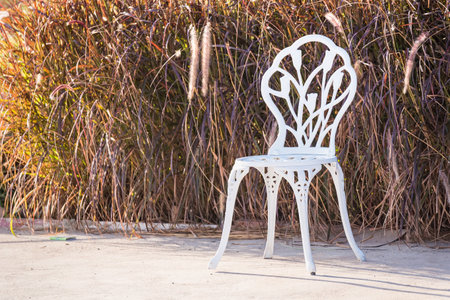Alloy white chair in the park.White bench in the gardenの写真素材