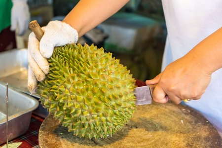 Peel durian fruit with a knife, an Asian woman's hand Durian is the king of fruits. Released only in the summer.の写真素材