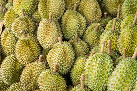 Durian,the fruit in Thailand. tropical fruit delicious, sweet and good smell sale at market.の写真素材