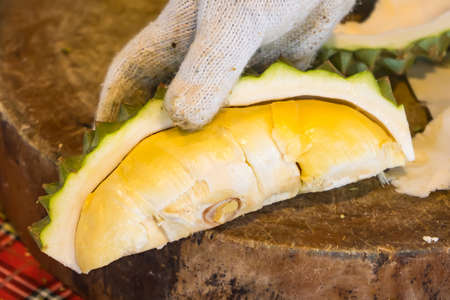 Peel durian fruit with a knife, an Asian woman's hand Durian is the king of fruits. Released only in the summer.の写真素材