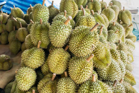 Durian,the fruit in Thailand. tropical fruit delicious, sweet and good smell sale at market.