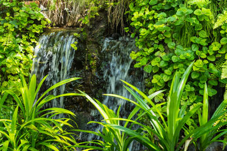 Waterfalls decorate the front and backyard. Water gardens inside the house.