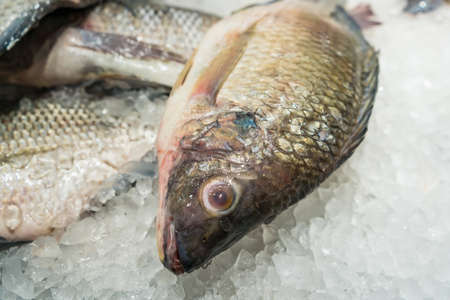 Fresh fish on ice display in a supermarket.