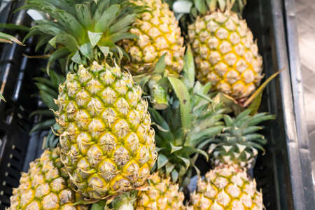 Pineapple in supermarket thailand.の写真素材