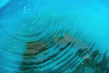 Ripple water wave in water tank