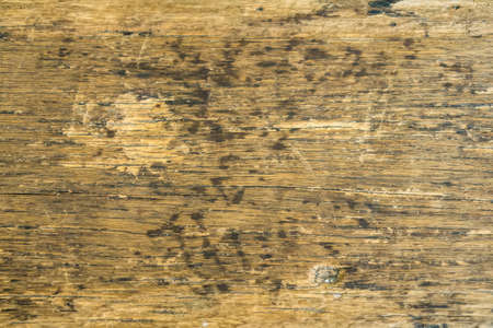 wood plank texture, old and dirty wooden plank texture