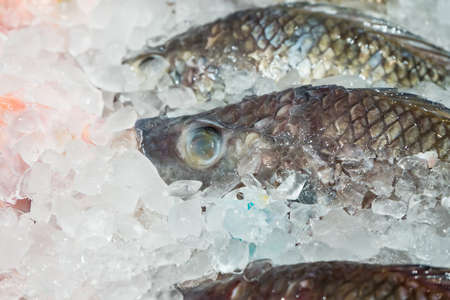 Fresh fish on ice display in a supermarket.の写真素材
