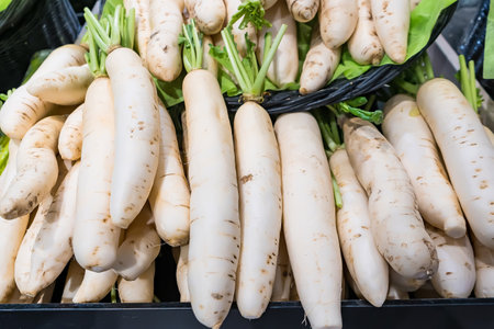 A Group of white radish in the supermarket,の写真素材