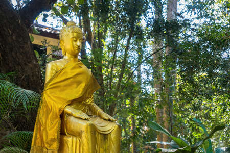 Golden Buddha statue in the temple Thailand.の写真素材