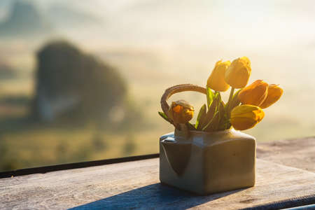 Flowerpot on table in the morning sunrise.の写真素材