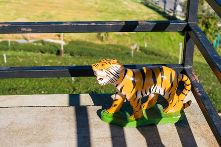 Chiang Rai, Thailand - January, 09, 2021 : Statue of a tiger with the morning sun at Chiang Rai,...