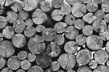 The Background Dry firewood logs.の写真素材