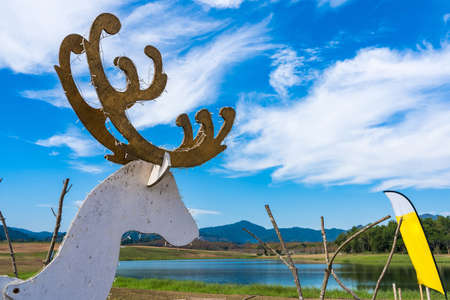 Wooden reindeer used to decorate Christmas.の写真素材