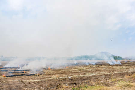 Burning straw in rice plantation in thailand.の写真素材