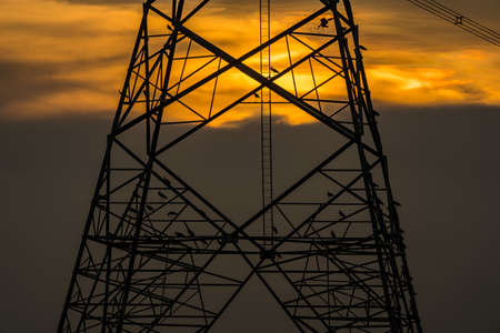 Silhouette of bird perched on high voltage post,High voltage tower sky sunset background.の写真素材