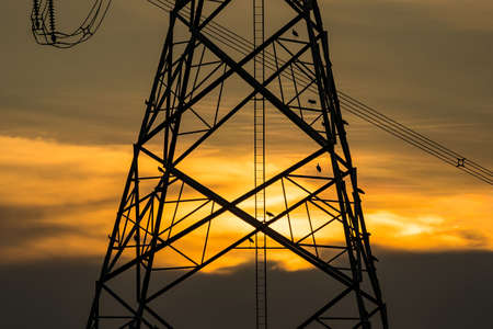 Silhouette of bird perched on high voltage post,High voltage tower sky sunset background.の写真素材