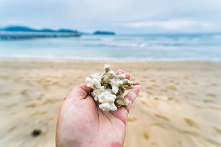 Coral reef in hand at sea shore, A white sands beach Thailand.