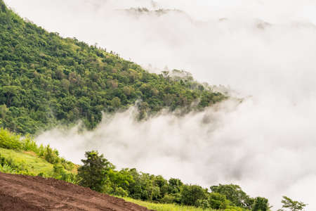 Landscape misty,Fantastic dreamy sunrise on the mountains, Mountain with mist cloud at Khao Kho...