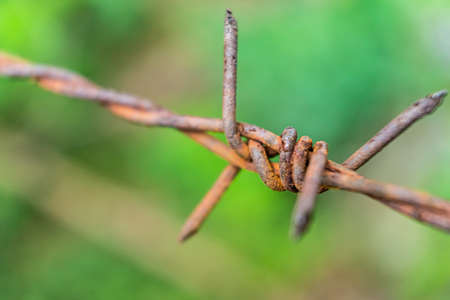 Barbed wire fence close up with green plant background