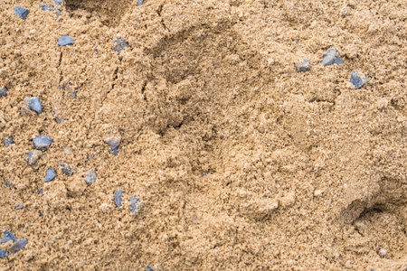 Sand for mixed cement flooringの写真素材