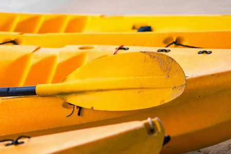 Yellow kayak paddle on the beach. Kayaking sports equipment.
