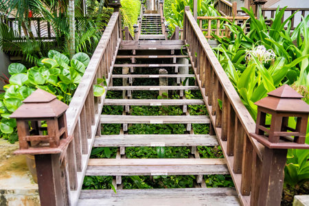 Outdoor wooden stair in the garden.の写真素材