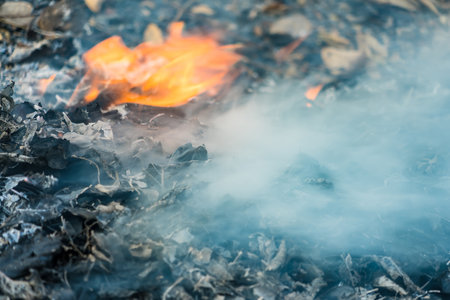 Fire flame burning dry leaf in forest background.Incineration is the cause of increasing PM.5 dust in the air in Thailand.の写真素材