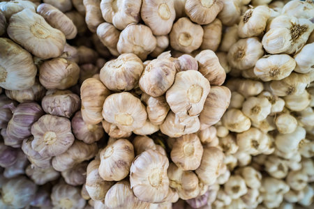 Fresh garlic in the market.Thailand.