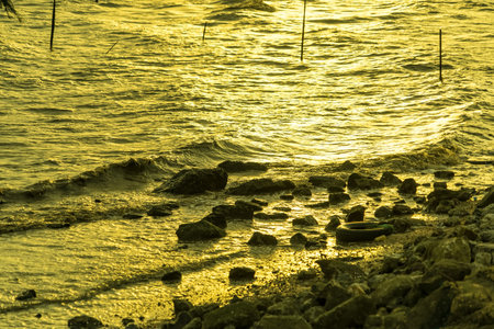 Mesmerizing Golden Hour:Enchanting Golden Waves Dancing Along the Coastline.の写真素材