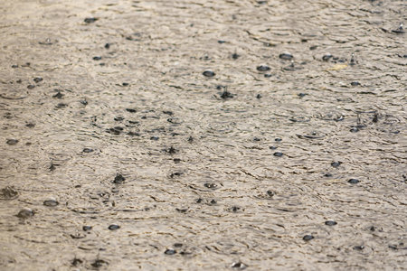 raindrops on asphalt road during heavy rain. rain drops background.の写真素材