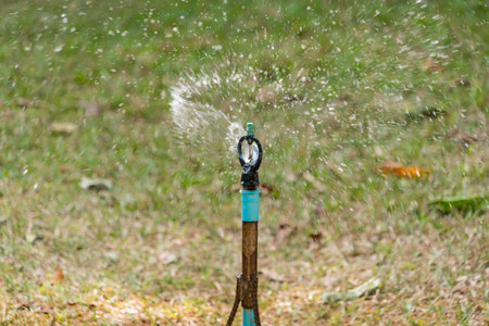 Automatic lawn sprinkler in the park.