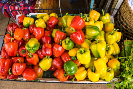 Red bell peppers, green bell peppers and yellow bell peppersの写真素材