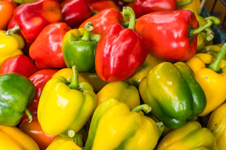 Red bell peppers, green bell peppers and yellow bell peppersの写真素材