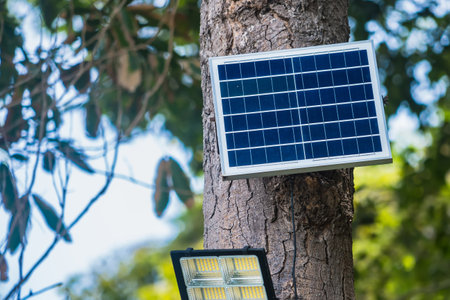 Solar panels mounted on trees to power the light bulbs that decorate the branches.の写真素材