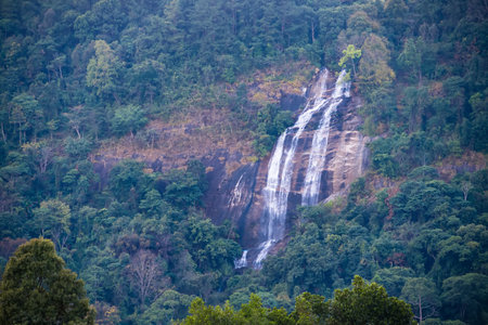 Landscape on Doi Intanon National Park,Chiang mai Thailandの写真素材