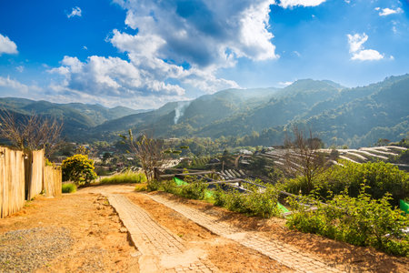 Landscape on Doi Intanon National Park,Chiang mai Thailandの写真素材